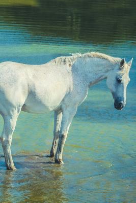 Full Download White Horse December Notebook & Journal. Productivity Work Planner & Idea Notepad: Brainstorm Thoughts, Self Discovery, To Do List - Equine Life file in ePub