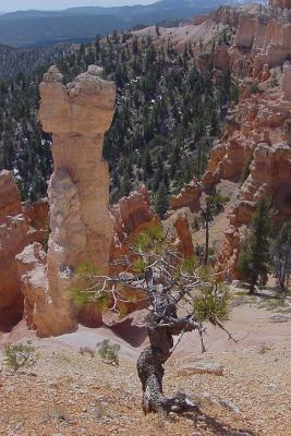 Read Online Hoodoo in Upper Hatshop in Bryce Canyon U S National Park in Utah: Blank 150 Page Lined Journal for Your Thoughts, Ideas, and Inspiration -  | ePub