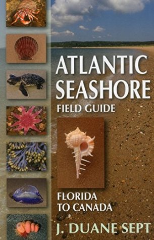 Download Atlantic Seashore Field Guide: Florida to Canada - J. Duane Sept file in PDF
