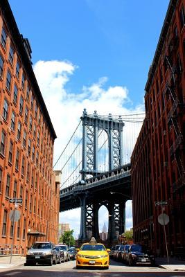 Full Download Brooklyn Bridge in New York Journal: 150 Page Lined Notebook/Journal -  | ePub