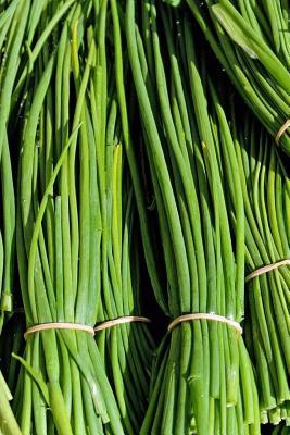 Download Yummy Bundles of Chives Journal: Take Notes, Write Down Memories in This 150 Page Lined Journal - Pen2 Paper | PDF