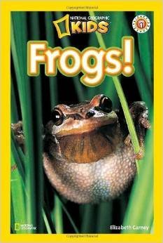 Read National Geographic Kids Chapters Readers Levels 1: Ponies, Polar Bears, Frogs, Meerkats, Dinosaurs; Lvl 2: Penguins, Weird Sea Creatures, Snakes, Sharks, Dolphins - Scholastic Press | ePub
