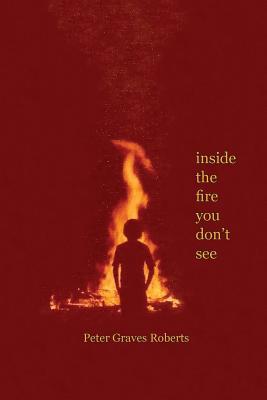Full Download Inside the Fire You Don't See: Limited First Edition - Peter Graves Roberts | PDF
