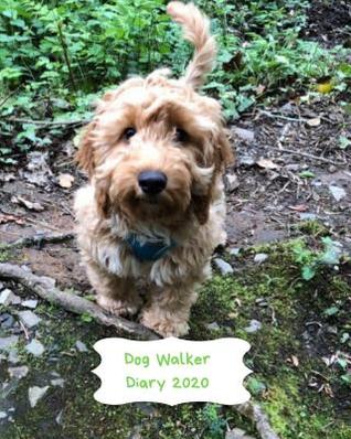 Read Online Dog Walker Diary 2020: Appointment diary to record all your dog walking times & client details. Day to a page with hourly appointments. Perfect for self employed pet sitters. Cockerpoo with green & white paw print cover design -  | PDF