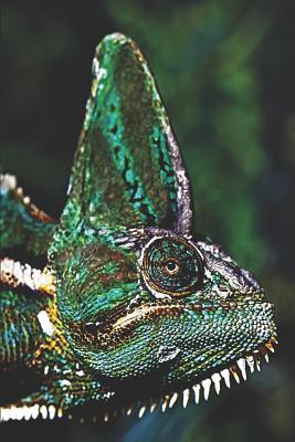 Download Veiled Chameleon Reptile: Journal Notebook with blank lined pages for Reptile Lovers - Perky Pages file in ePub